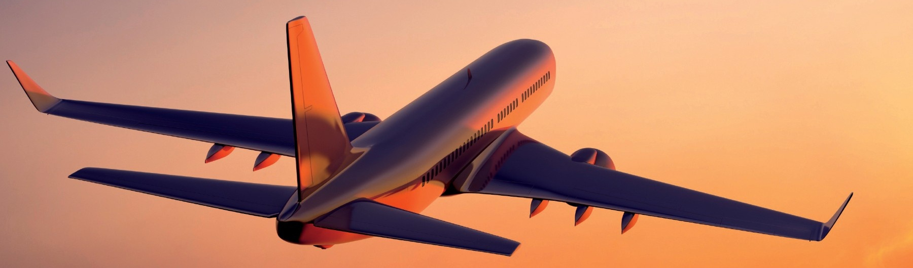 Travel Meets Big Data