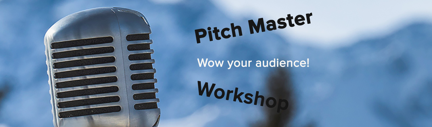 PitchMaster 2017