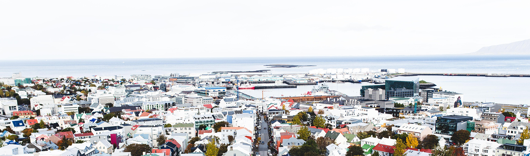 Shopify Meetup Iceland