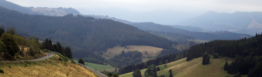 Schwarzwald Super! 2019