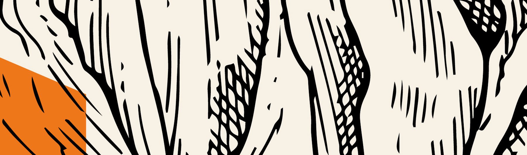 Sensemaking For Impact, 3 June 2019, Melbourne