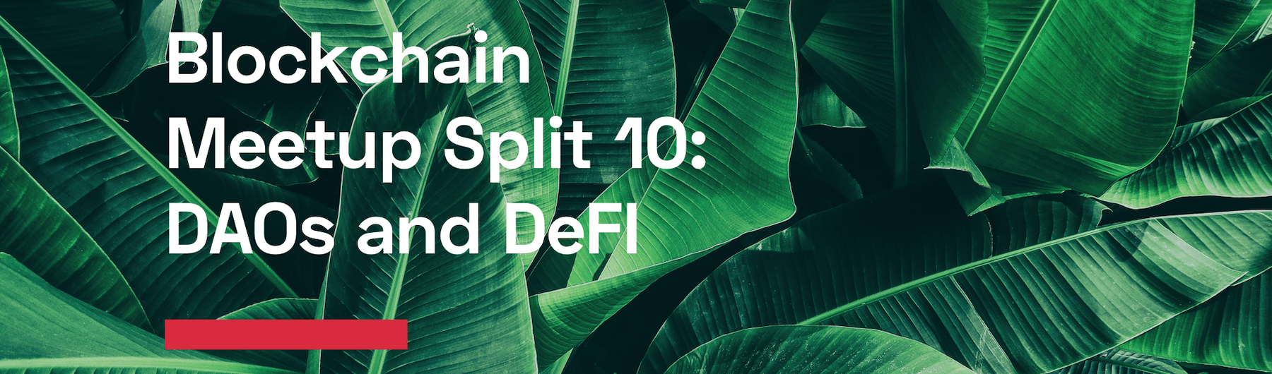 10. Split Blockchain Meetup: DAOs and DeFI