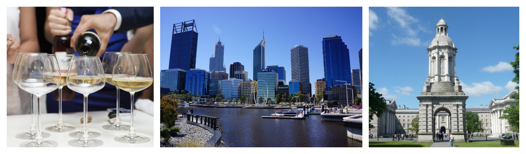 TCD Alumni Gathering in Perth