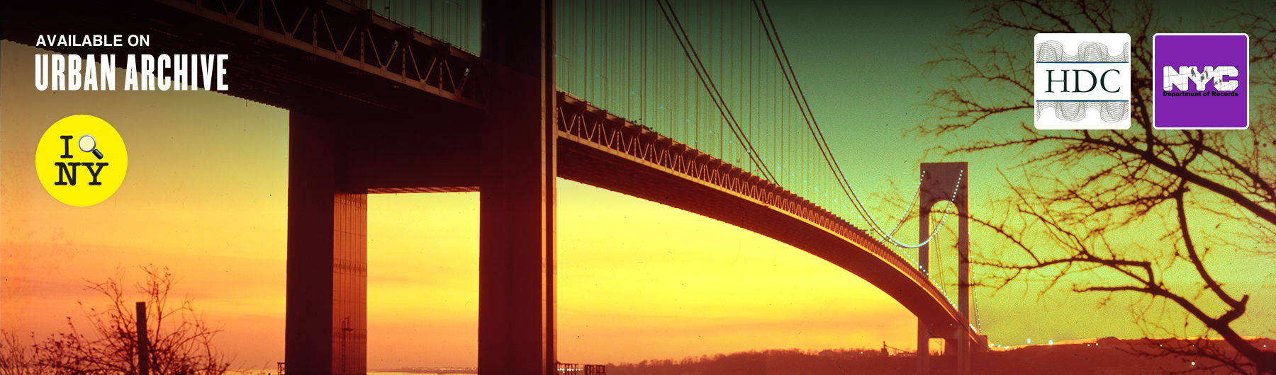 The Hunt - Bay Ridge