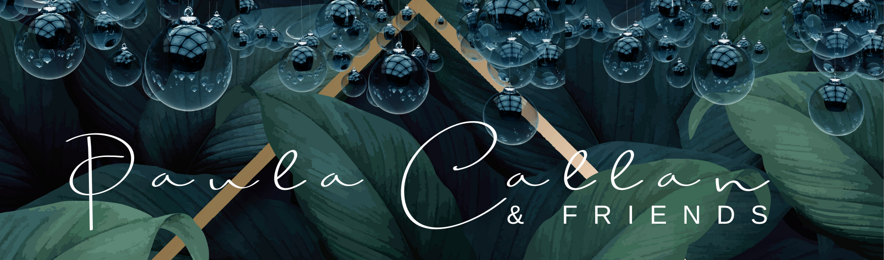 Paula Callan & Friends - A Christmas Special