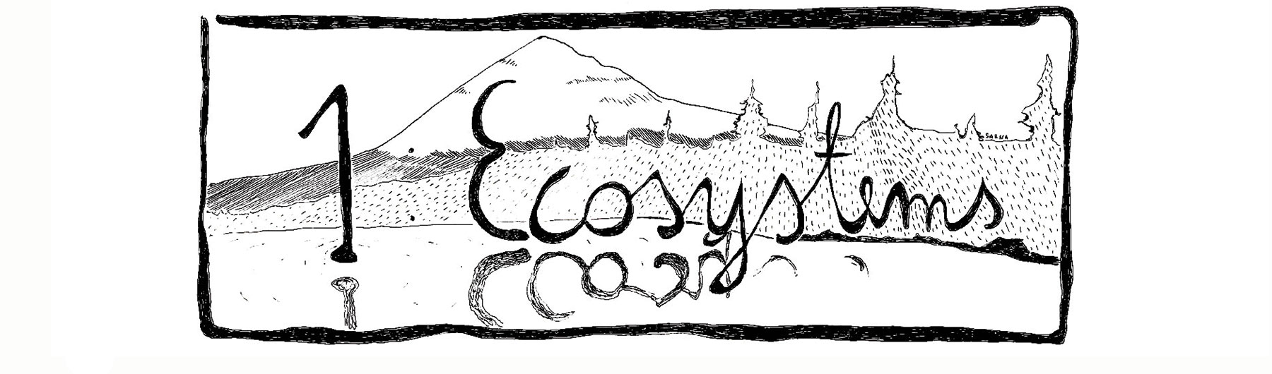 CodeBase Edinburgh Meetup 1: Ecosystems
