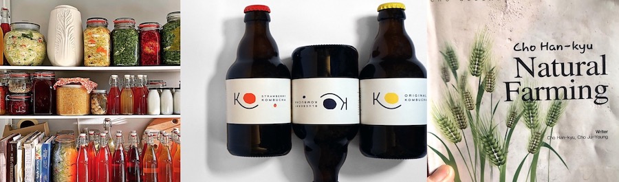 The Magic of Fermentation Three, 25th January @ 18.30