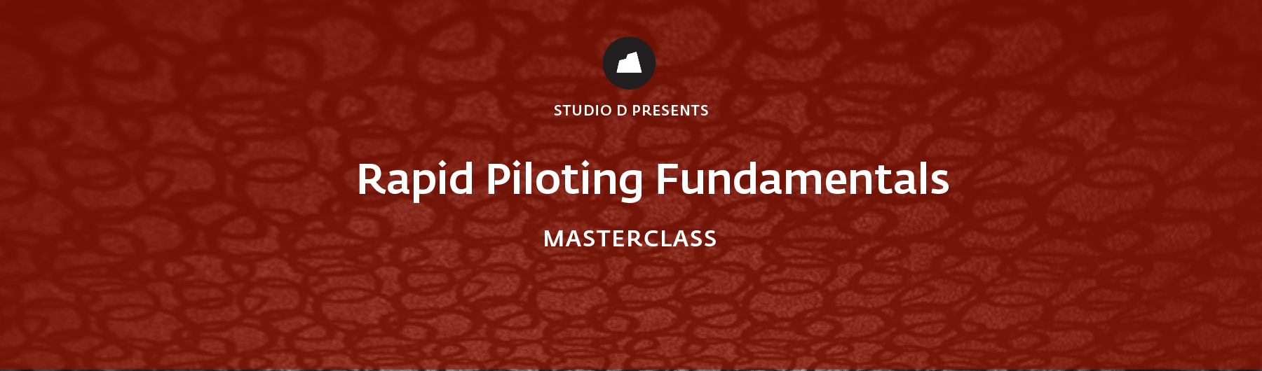 Rapid Piloting Fundamentals Masterclass, 15 May 2020, San Francisco