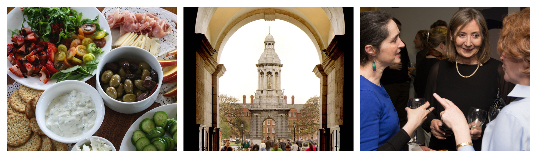 TCD Alumni Antrim & Derry Chapter – Spring Gathering 2020